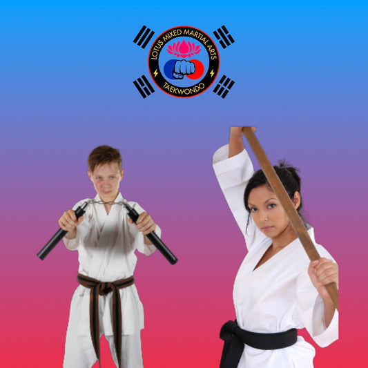 Summer Martial Arts Program / Full Day Weekly Fee