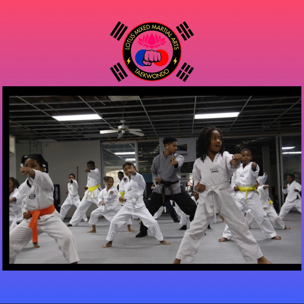 Taekwondo Weekly Fee