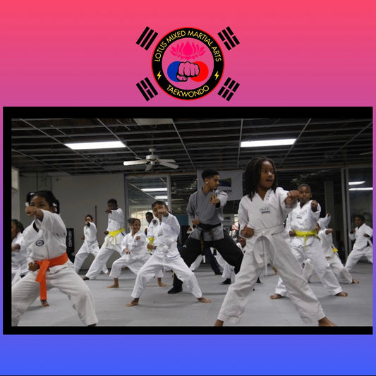 Taekwondo Weekly Fee